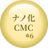 ナノ化CMC＊6
